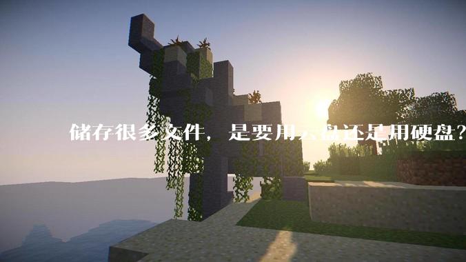 储存很多文件，是要用云盘还是用硬盘？